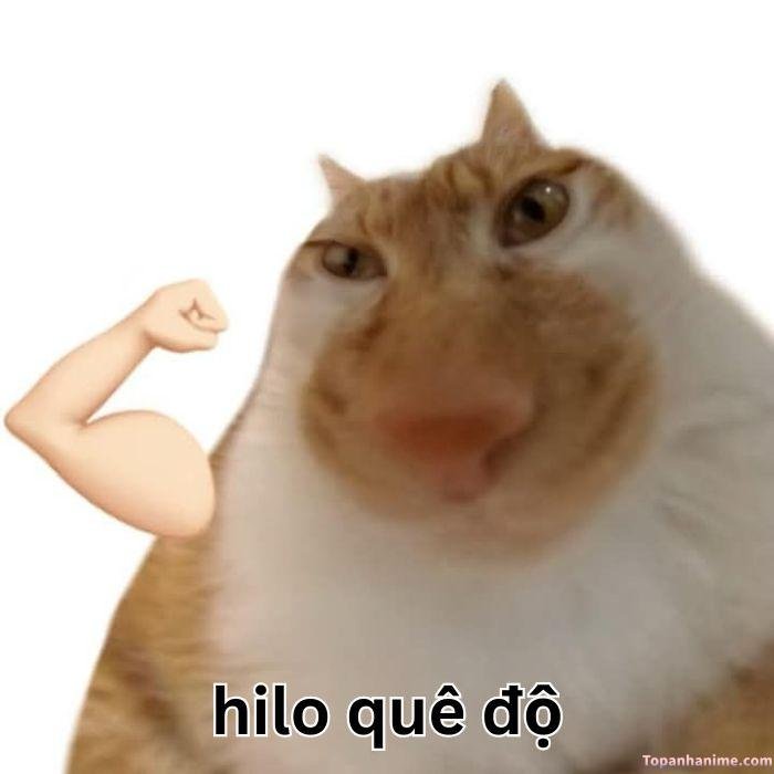 ảnh meme quê hài nhất