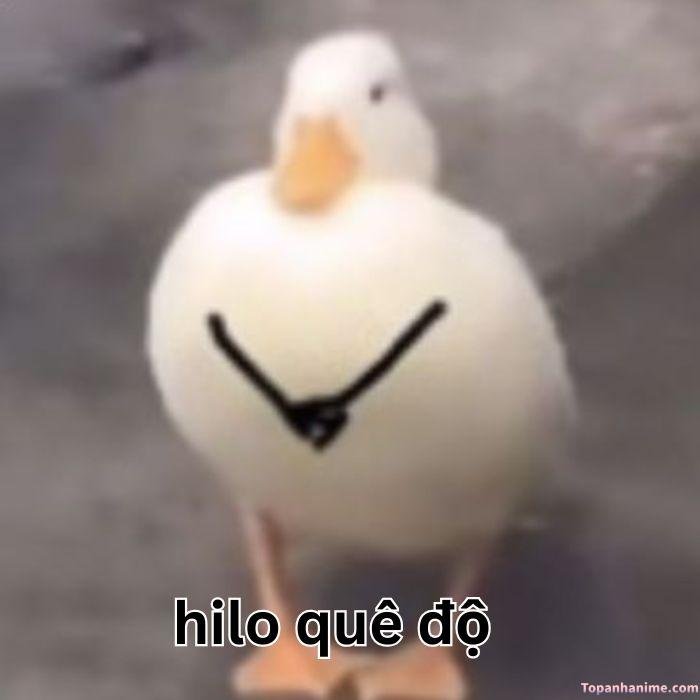 ảnh meme quê vịt