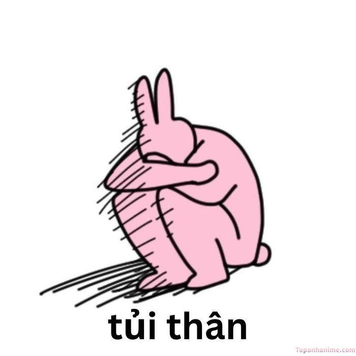 ảnh meme tủi thân thỏ hồng