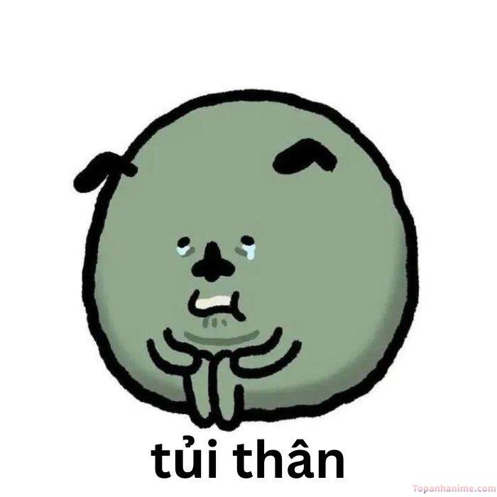 ảnh meme tủi thân trứng bắc thảo