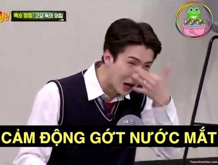 ảnh xúc động meme hài
