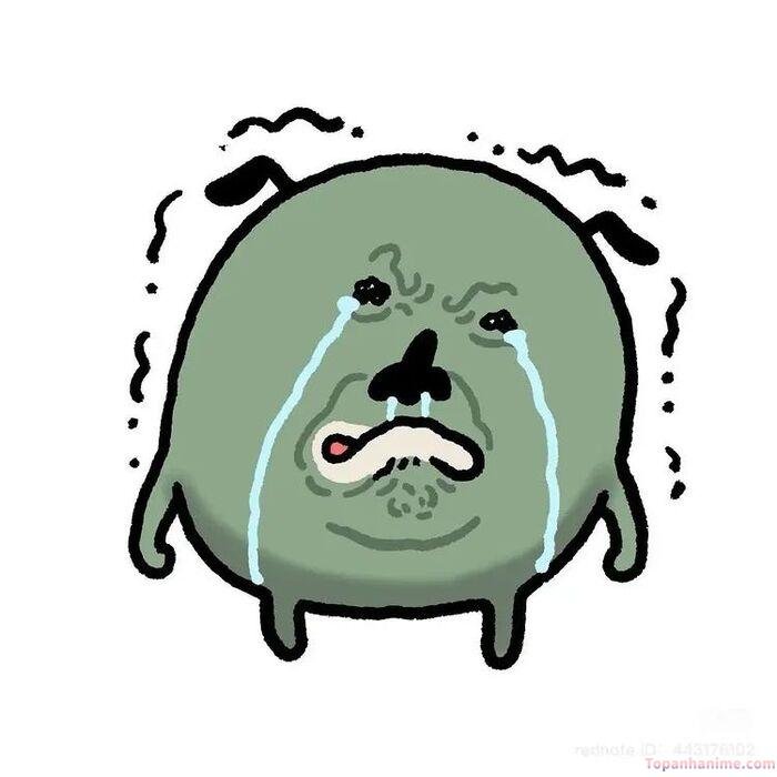 ảnh xúc động meme siêu hài