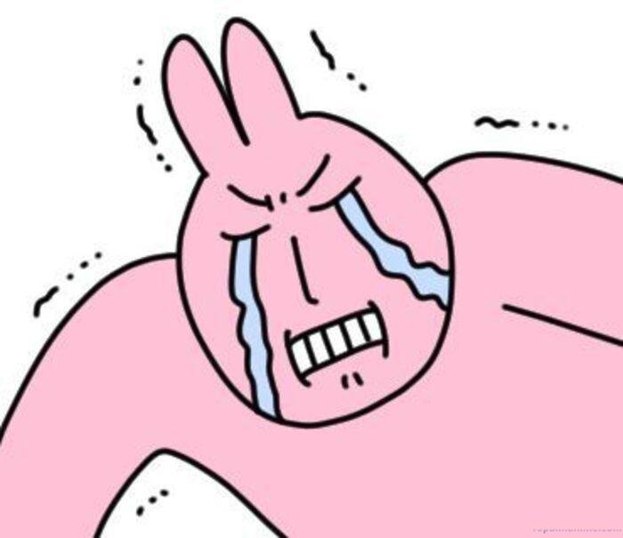 ảnh xúc động meme thỏ khóc