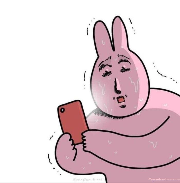 ảnh xúc động meme thỏ