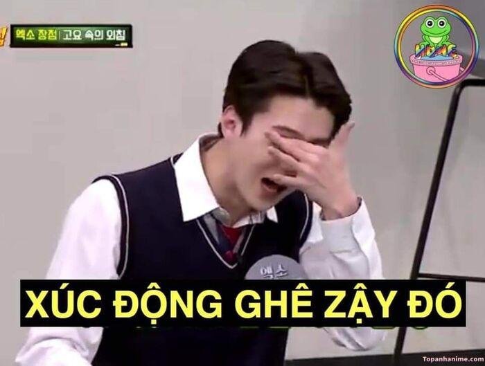 ảnh xúc động meme