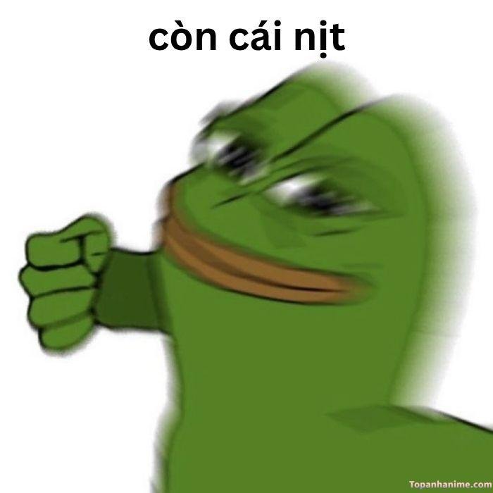 có cái nịt meme đấm