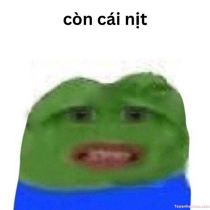 có cái nịt meme khinh