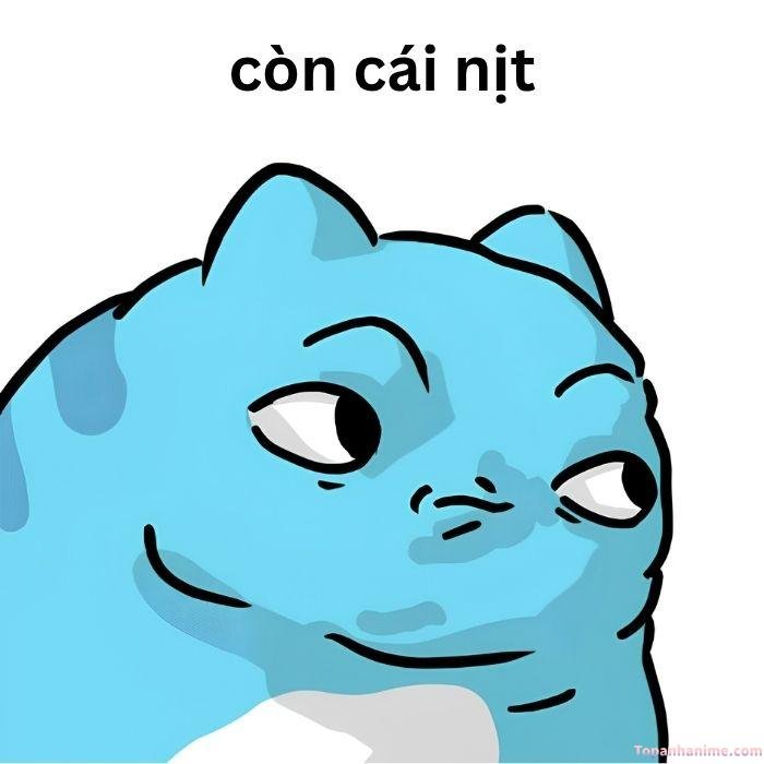 có cái nịt meme lườm
