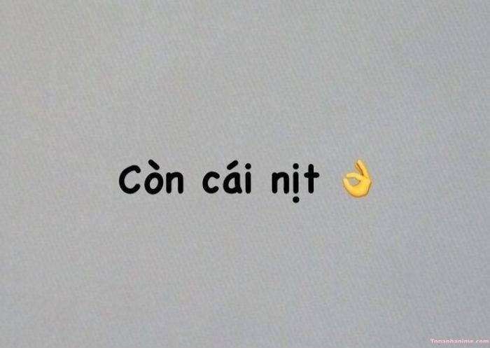 có cái nịt meme text
