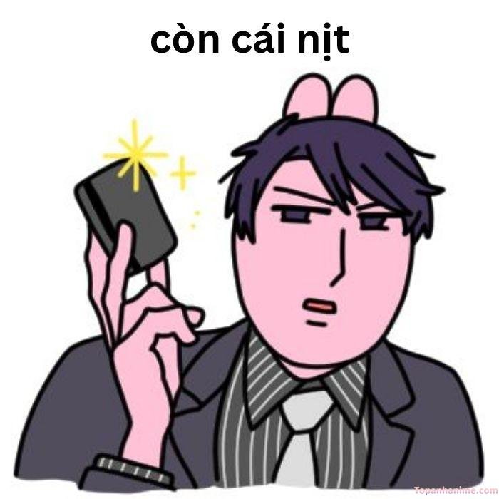 có cái nịt meme thỏ bựa