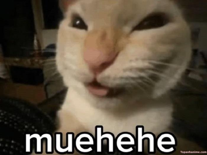 hehe meme mua