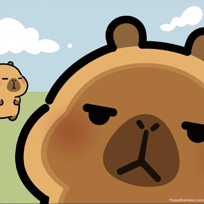 hình capybara chibi bựa