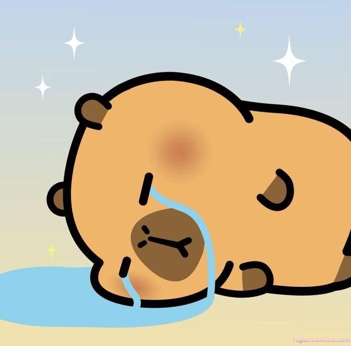 hình capybara chibi bùn