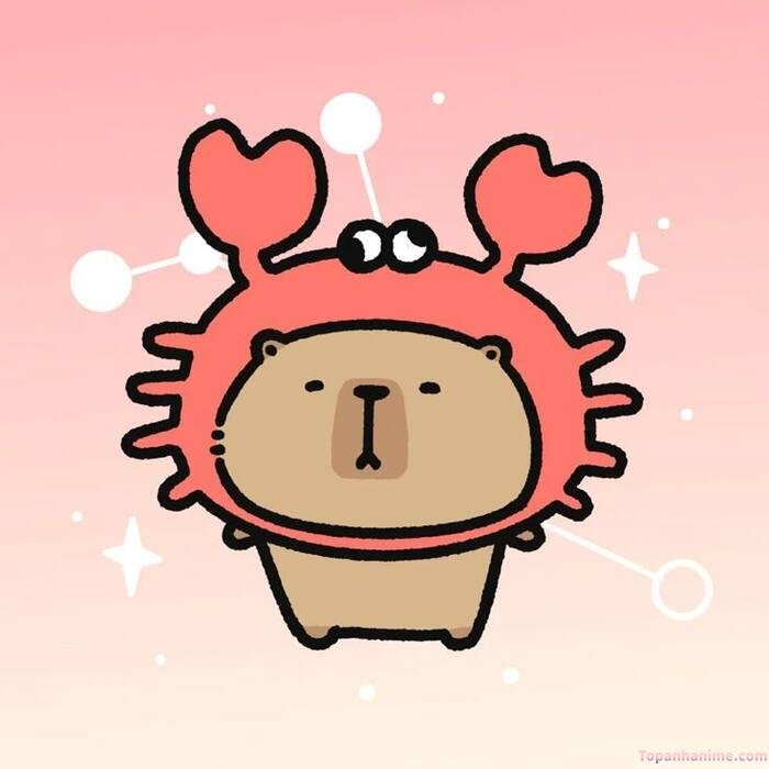 hình capybara chibi cua