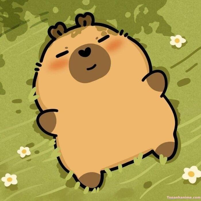 hình capybara chibi cực đẹp