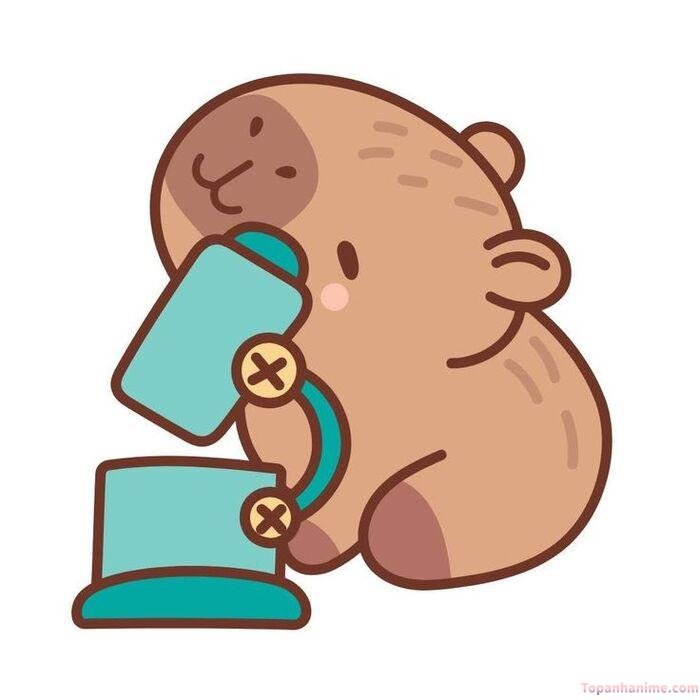 hình capybara chibi hài