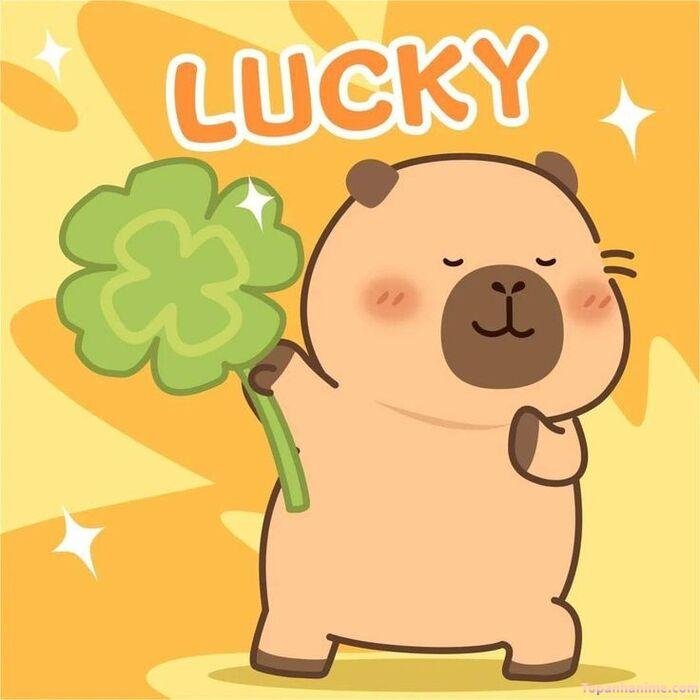 hình capybara chibi lucky