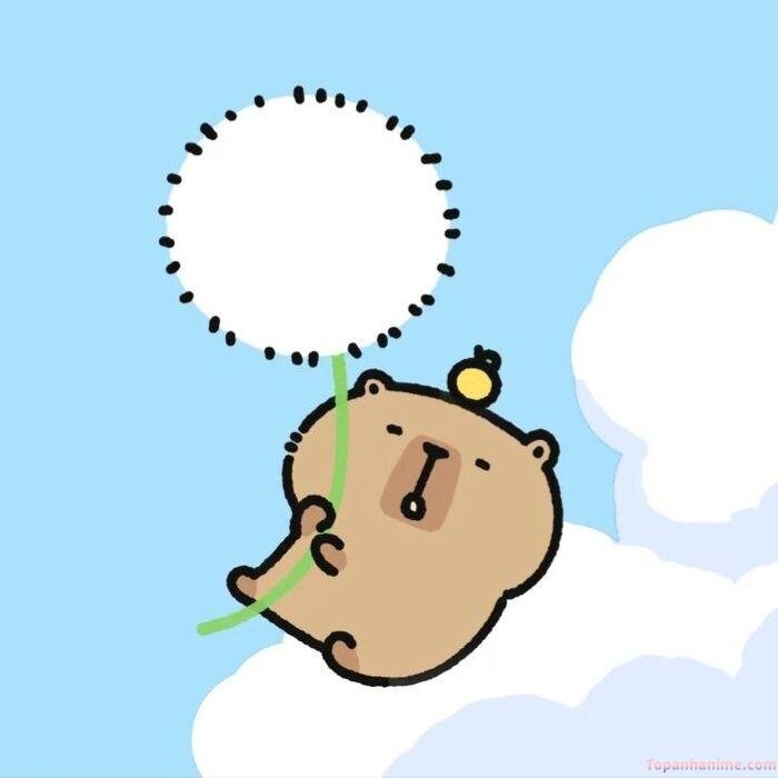 hình capybara chibi mơ