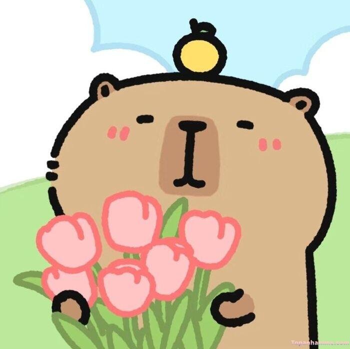 hình capybara chibi tulip