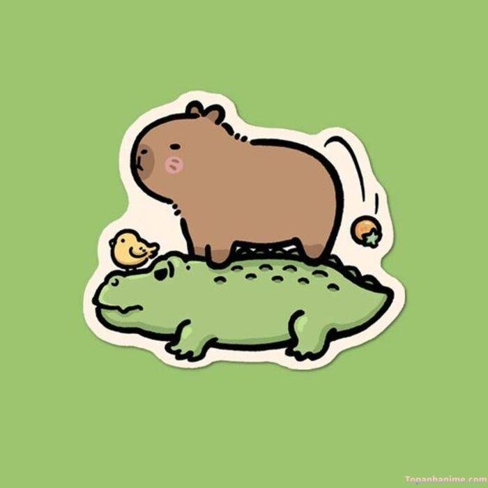 hình capybara chibi và cá sấu