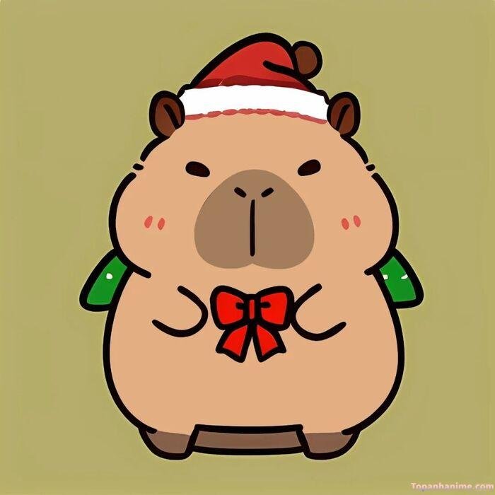 hình capybara chibi xmas