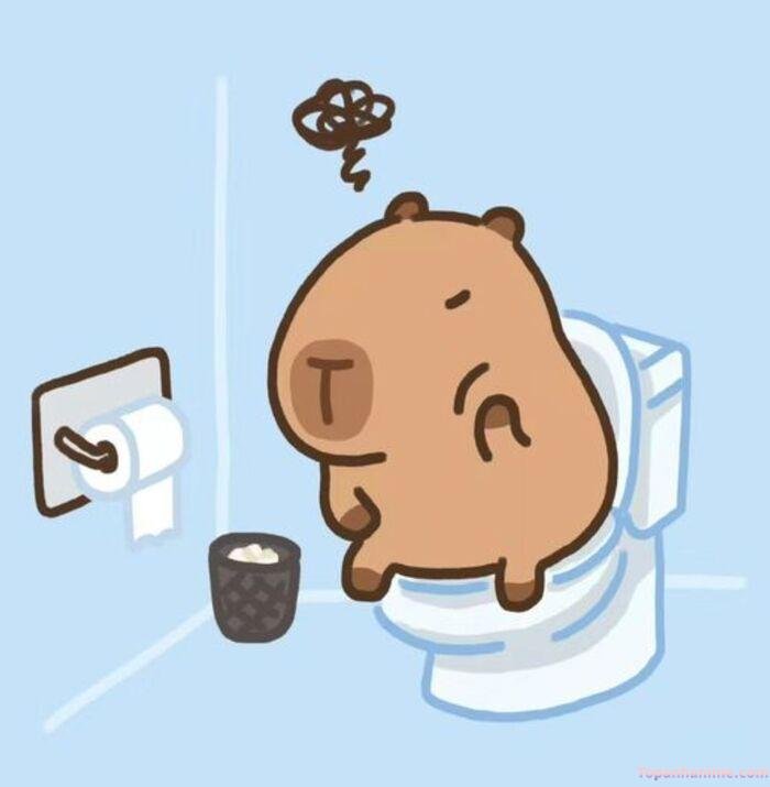 hình capybara chibi