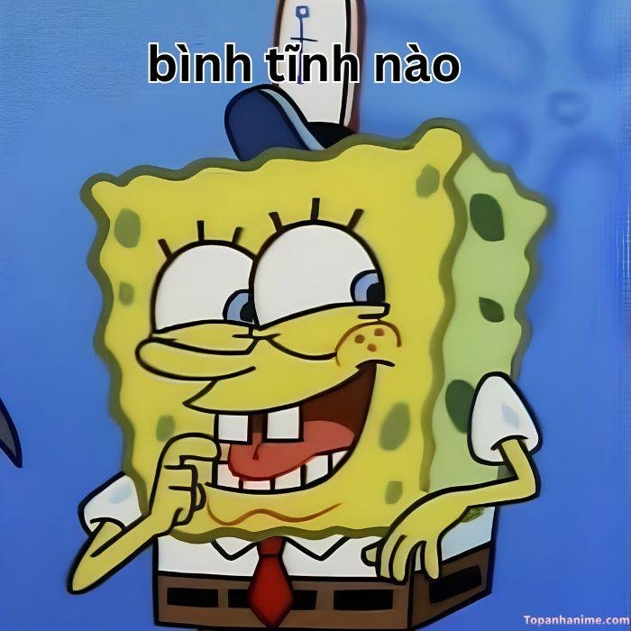 meme bình tĩnh bọt biển