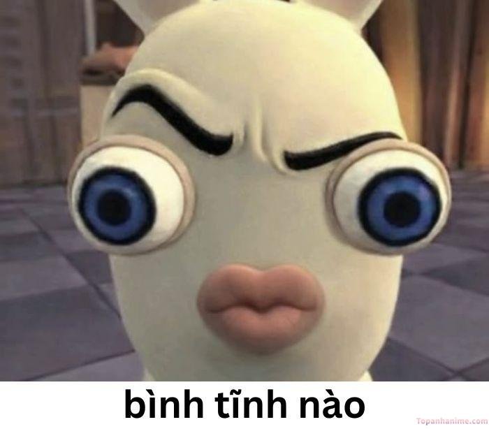 meme bình tĩnh chế