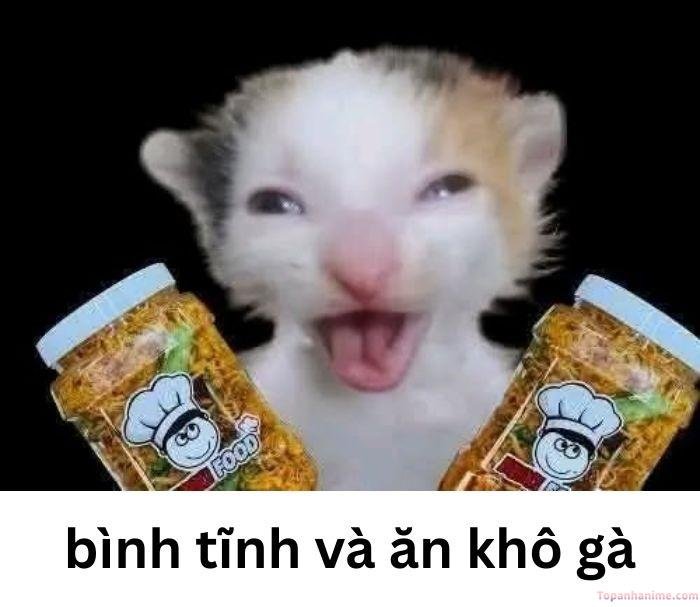 meme bình tĩnh khô gà