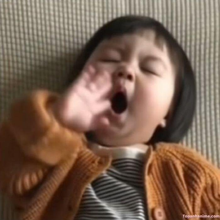 meme buồn ngủ ngáp ngủ