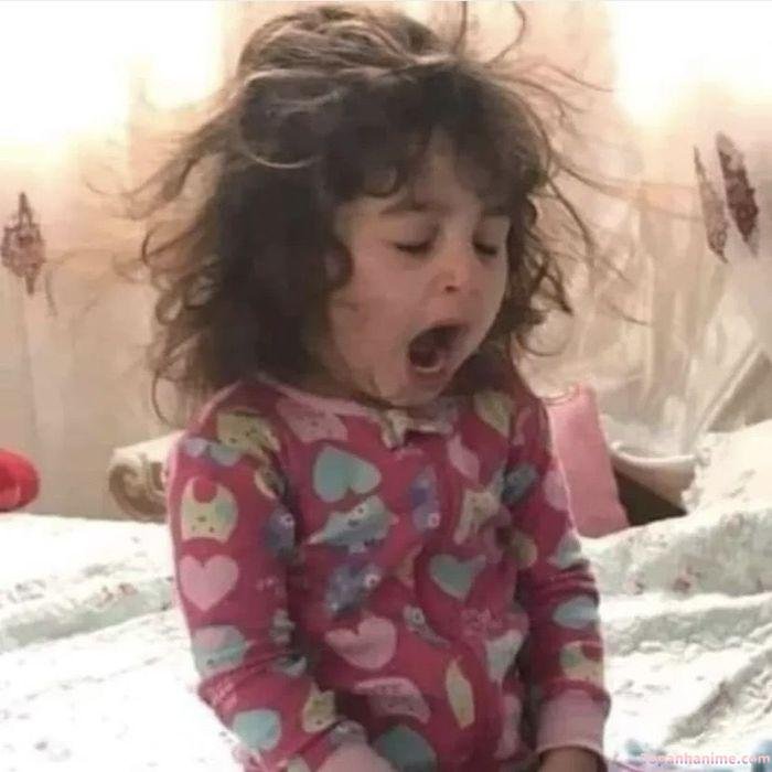 meme buồn ngủ siêu bựa