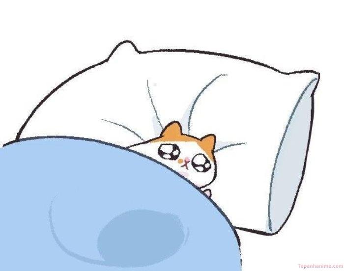 meme chán cute