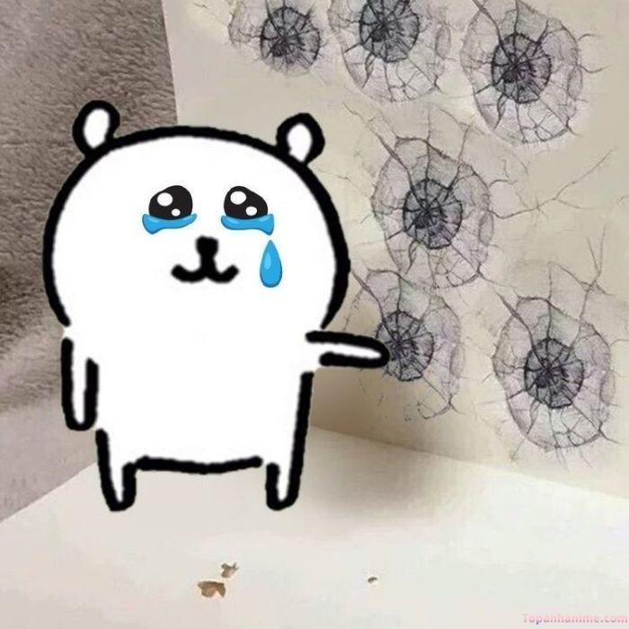 meme chán gấu