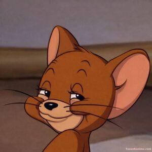 meme dâm jerry