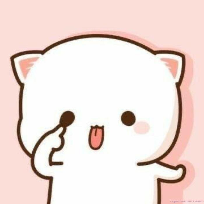 meme lêu lêu cute mèo nhất