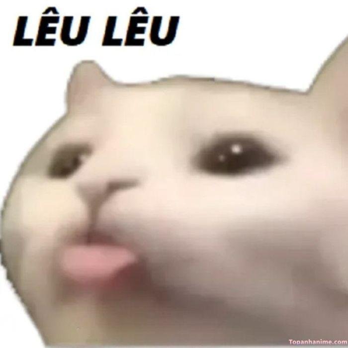 meme lêu lêu thỏ hài