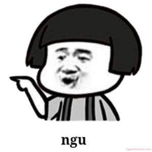 meme ngu china