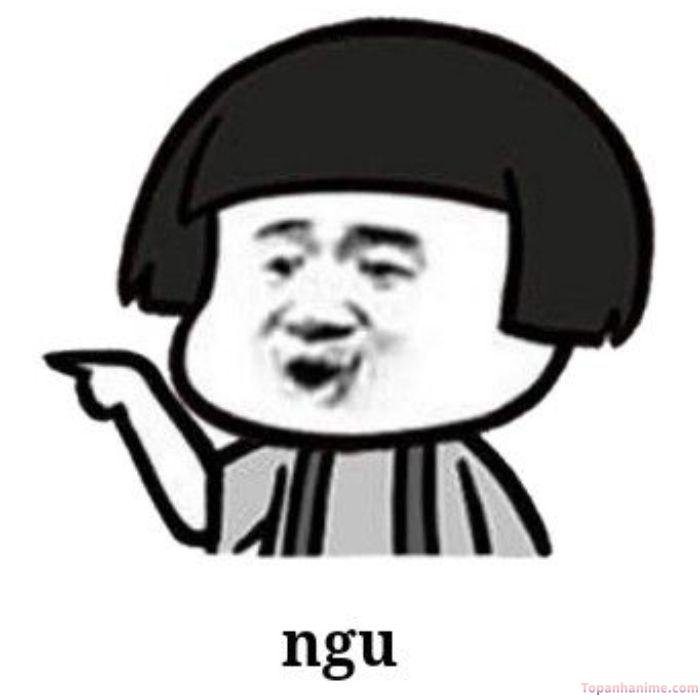 meme ngu china