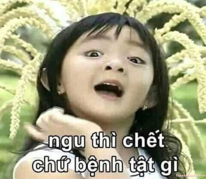 meme ngu xuân mai
