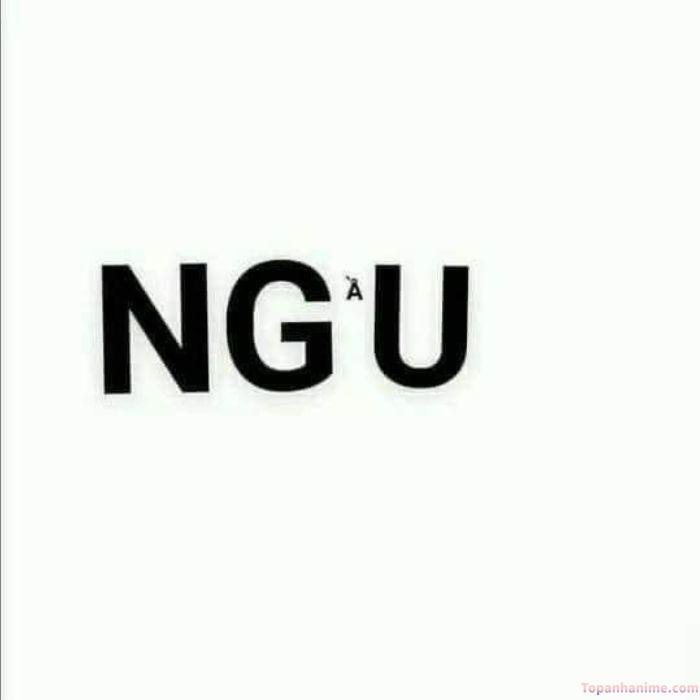 meme ngu