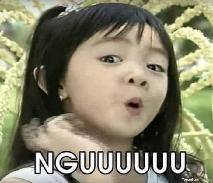 meme nguuuu