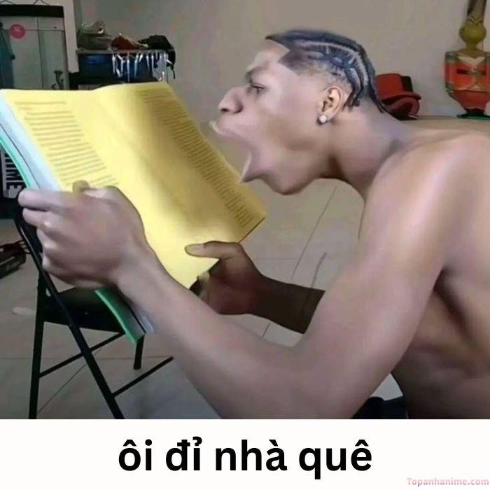 meme quê chế lầy