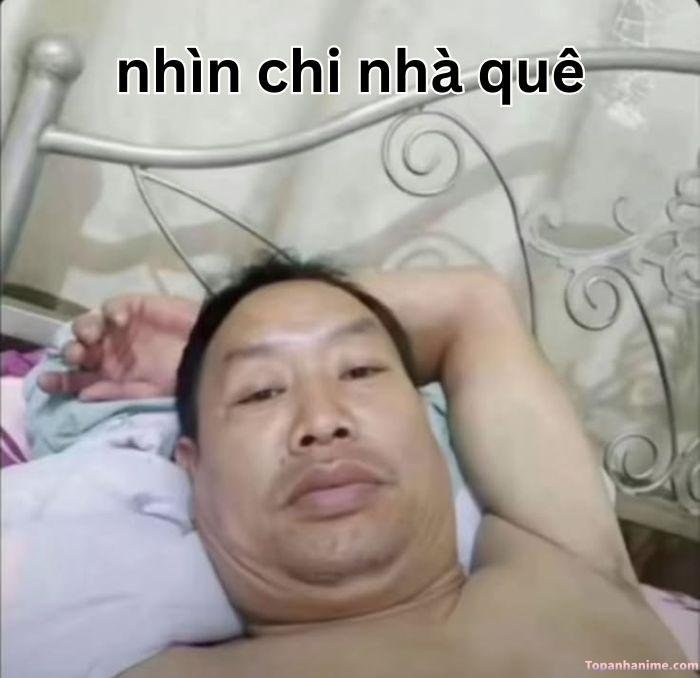 meme quê hài chế