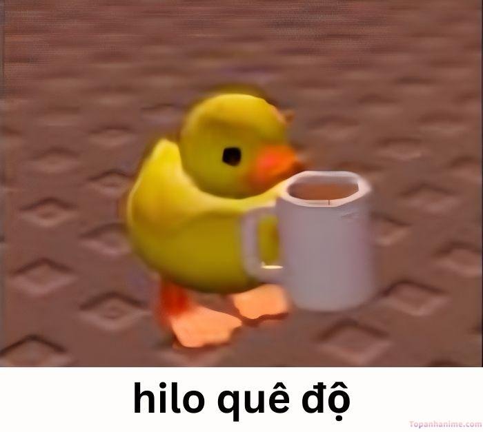 meme quê vịt 2d