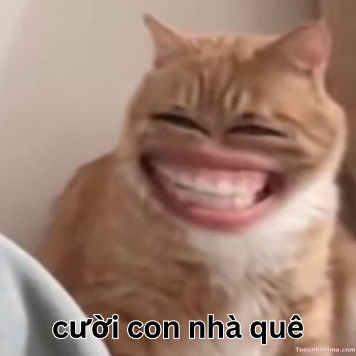 meme quê