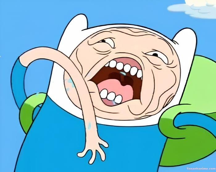 meme sốc finn