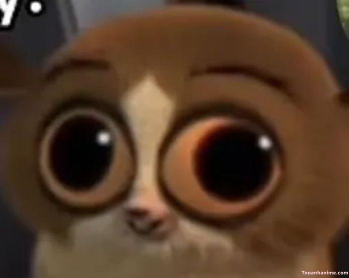 meme sốc hoạt hình hài