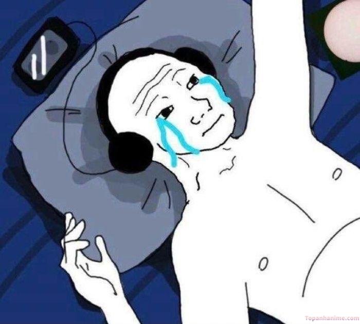 meme thất vọng khóc