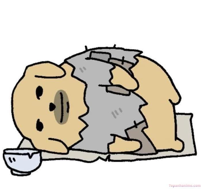 meme tổn thương chó