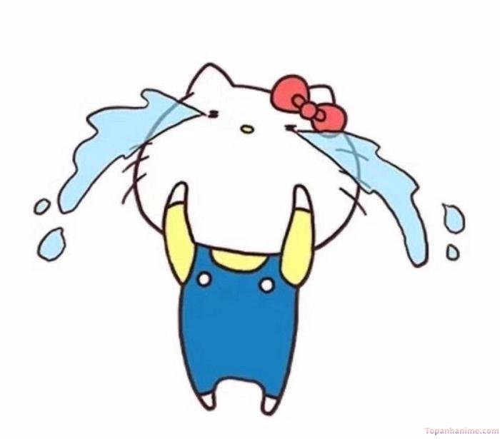 meme tổn thương kitty
